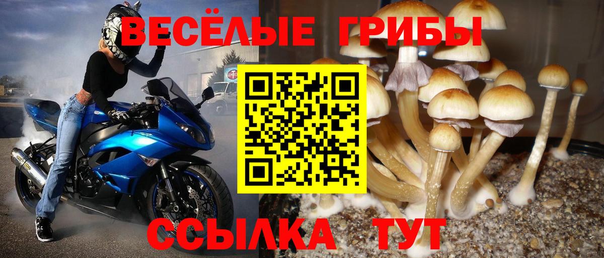 Галлюциногенные грибы прущие грибы Верхний Уфалей